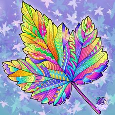 a brightly colored leaf with stars in the background on a purple and blue background,