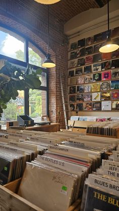 a room filled with lots of records under a window next to a potted plant