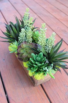 an arrangement of succulents and other plants on a wooden decking area