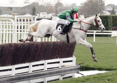 a jockey on a horse jumping over an obstacle