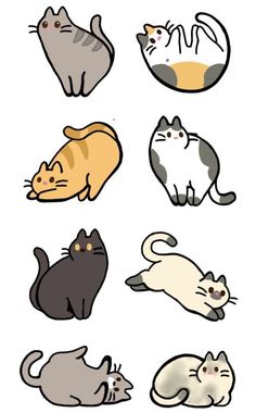 a bunch of cats that are all different colors