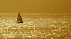 a sailboat is sailing in the ocean at sunset or dawn with golden hues