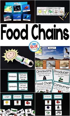 food chains are an easy way to help students learn how to use them in the classroom