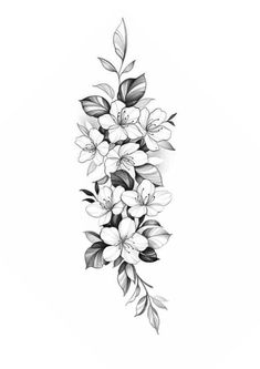 a black and white drawing of flowers with leaves on the bottom half of each flower