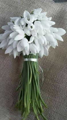 a bouquet of white flowers sitting on top of a table