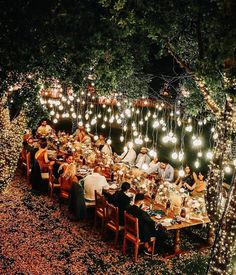 a group of people sitting around a dinner table with lights strung from the trees over them