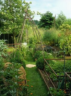 the garden is full of plants and vegetables