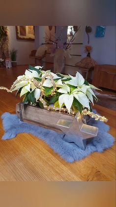 a planter filled with white flowers sitting on top of a wooden table next to a blue rug