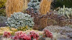 many different types of plants in a garden