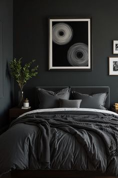 a black and white bedroom with grey bedding, framed pictures and plants on the wall