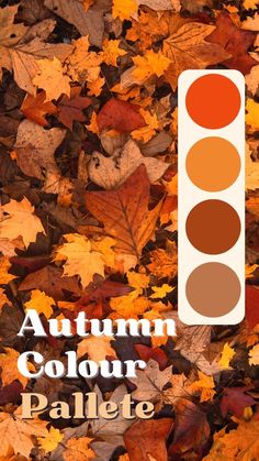 an autumn color palette with the words autumn colours in front of it and leaves on the ground