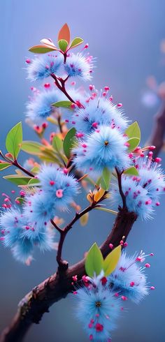 a branch with blue flowers and green leaves