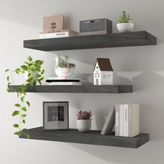 some shelves with books and plants on them