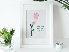 a pink flower in a white frame next to a potted plant on a table