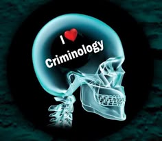 i love criminology on the back of a skull with bones in it