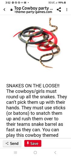 snake on the side of a white background with text that reads snakes on the loose