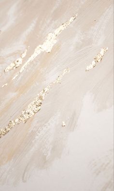 a bird standing on top of a sandy beach next to the ocean