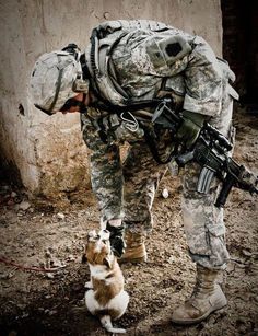 Military Pride, Army Strong, Army Mom, Real Hero, Search And Rescue, Military Men, United States Army, Navy Seals, Working Dogs