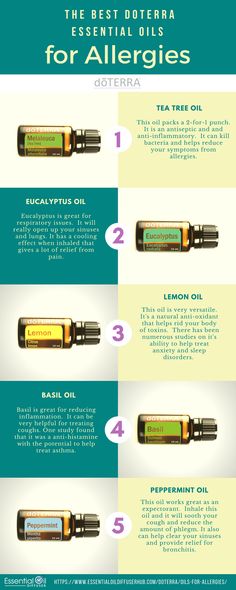 Doterra Allergies, Doterra Tea Tree Oil, Essential Oils For Allergies, Oils For Allergies, Essential Oils Allergies, Allergy Season, Doterra Essential Oils Recipes, Essential Oils Herbs, Doterra Oils