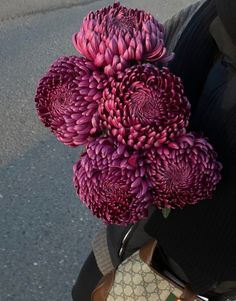 a person holding a bunch of purple flowers