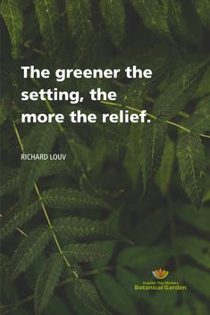 the greener the setting, the more the relief - richard louvi quote on green leaves