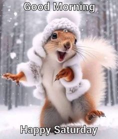 a squirrel is jumping in the snow with his arms up