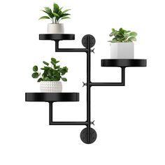 three potted plants sitting on top of black shelving brackets with white vases