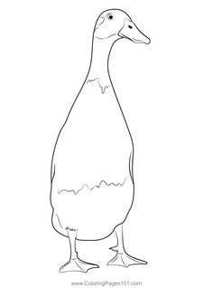 a duck that is standing in the middle of a line art style drawing, it looks like