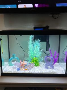 a fish tank filled with different types of marine life