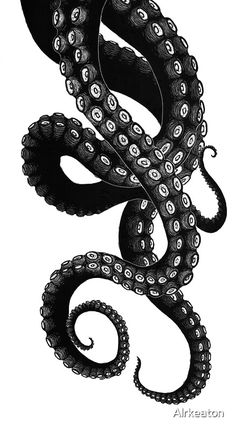 an octopus is shown in black and white, with the tentacles curled up to it's sides