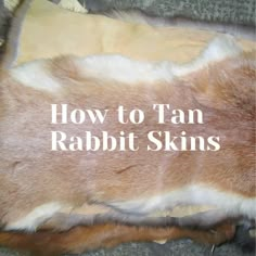 an animal skin with the words how to tan rabbit skins