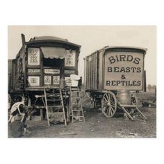 an old black and white photo of birds, beast's and reptiles