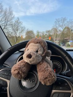 a teddy bear sitting on the steering wheel of a car