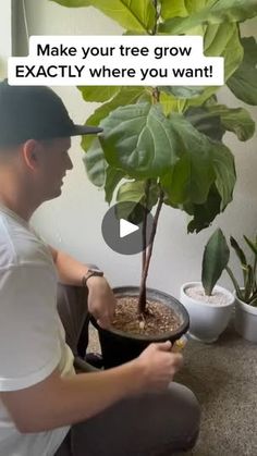 a man sitting on the floor next to a potted plant and looking at it