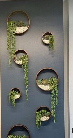 some plants are hanging on the wall