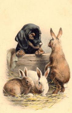 three rabbits and a dachshund sitting in hay