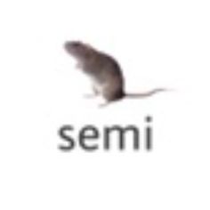 a mouse that is sitting on the ground with the word semi in front of it