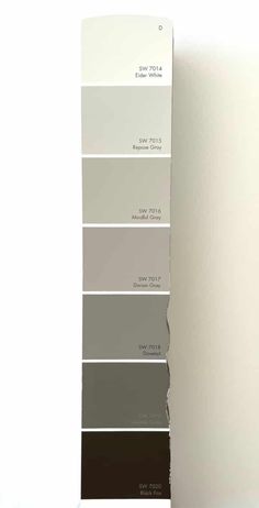 the paint swatches are showing different shades of gray and white, with brown on each side