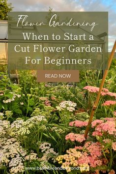 flowers in the garden with text overlay that says when to start a cut flower garden for beginners