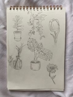 an open notebook with drawings of flowers and plants