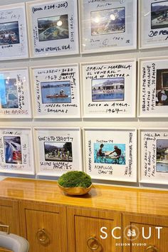 a wall with many pictures on it and a plant sitting on top of the dresser