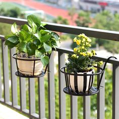 two potted plants sitting on top of a metal rail next to a balcony railing