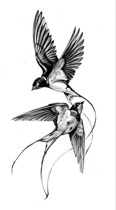 two birds flying next to each other on a white background with black and white ink