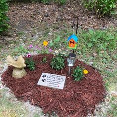 a birdhouse is placed in the middle of a flower bed