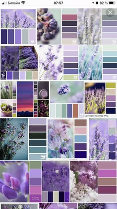 a bunch of pictures that are in different colors and sizes, all with flowers on them