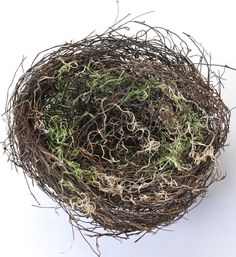 a bird's nest filled with green and brown grass on top of a white surface