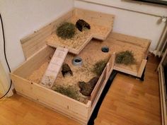 a wooden box filled with grass and other items on top of a hard wood floor