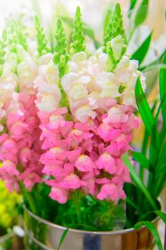 pink and white flowers are in a metal container