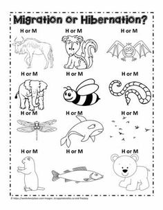 a black and white poster with different animals in the middle, including an animal's name