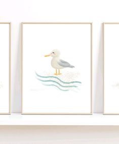 three watercolor paintings of seagulls sitting on the edge of a white shelf